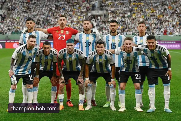 BOB半岛平台介绍 如何通过BOB半岛体育平台,第一时间获取阿根廷队世界杯前的最新动态?